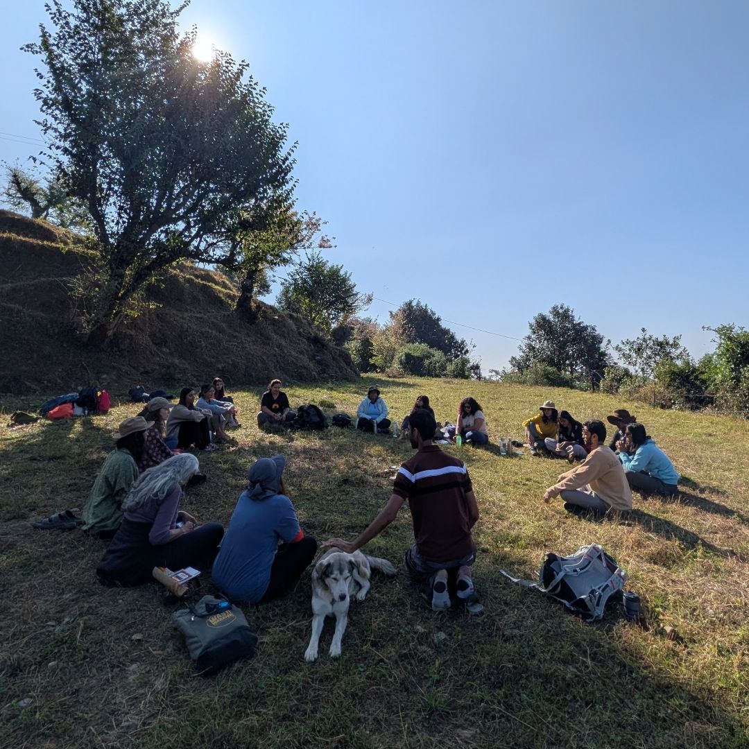 An outdoor group activity