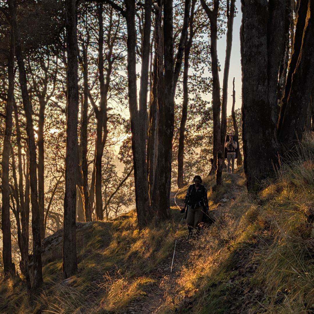 Sunset on a hike in the forests nearby