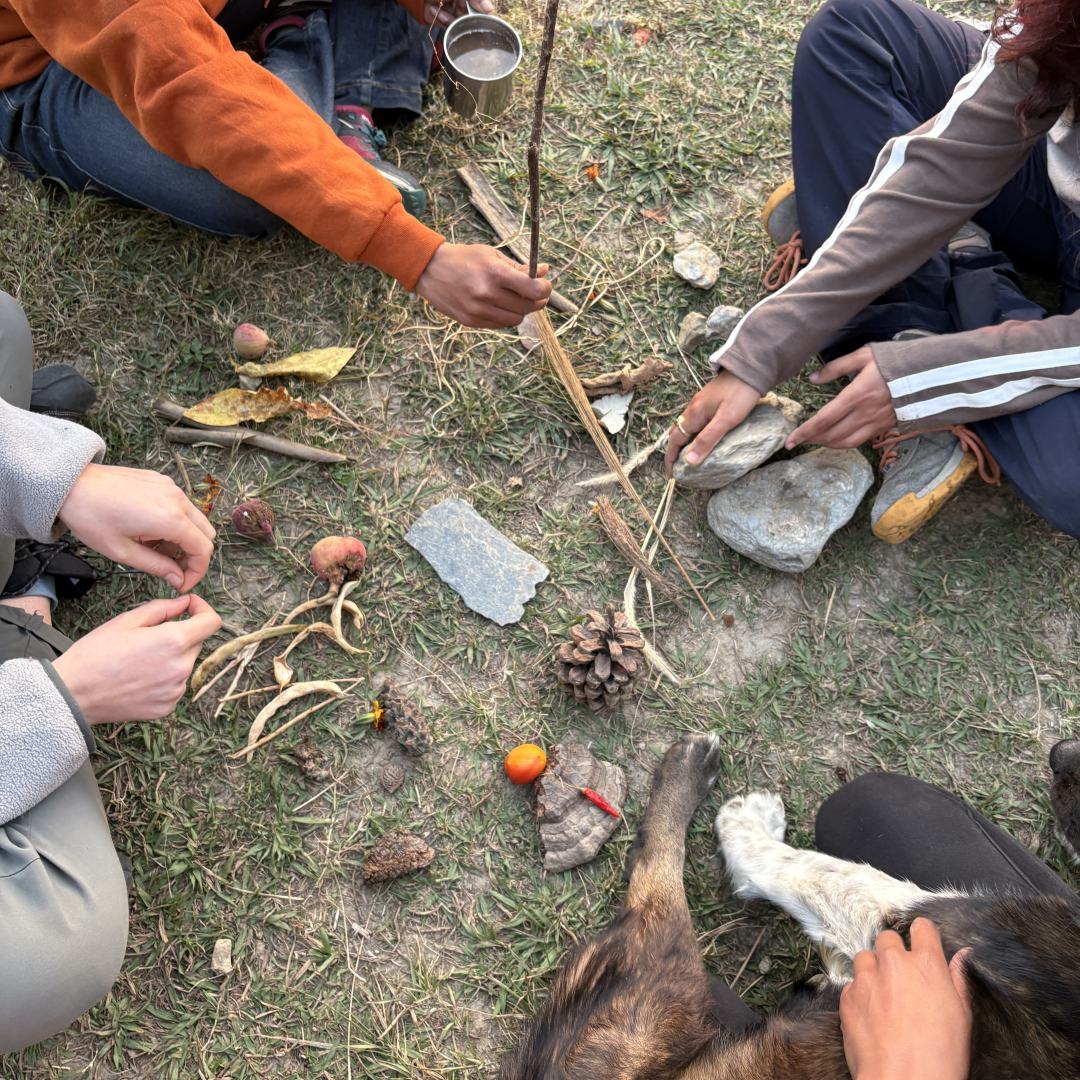 Collecting trinkets from the forest